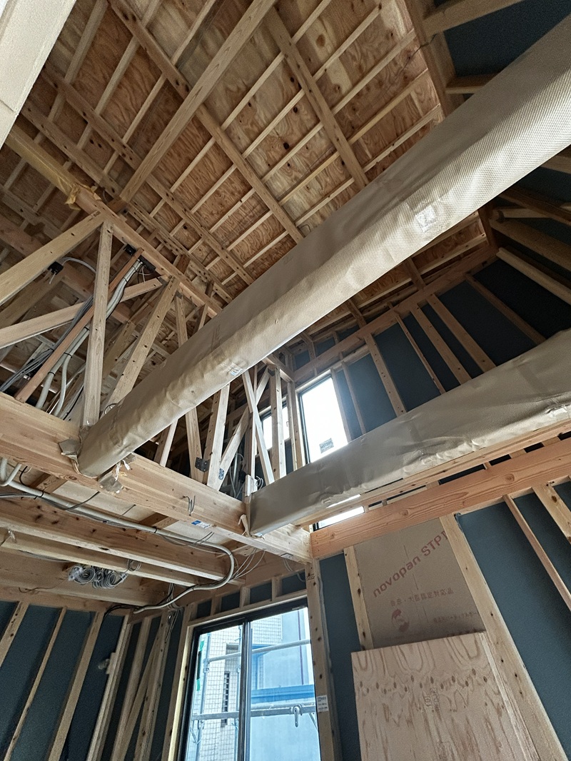 光と影、自然との融合をテーマにした独創的な家