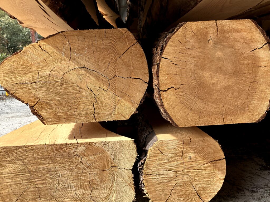 太い丸太が積みあがった写真