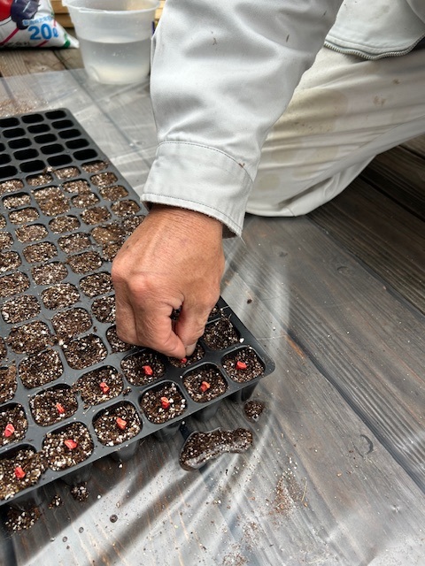 コスモ会長！農業をはじめました。