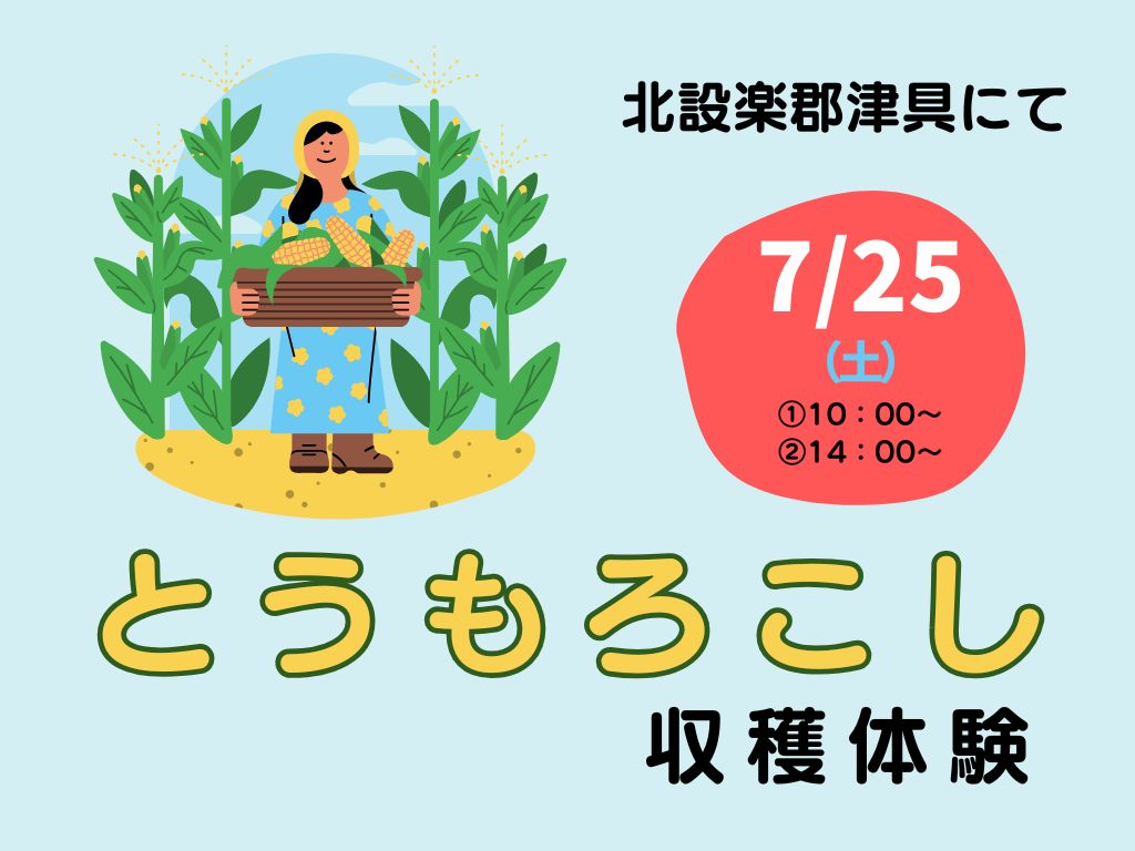 夏休みだ！津具へGO！とうもろこし収穫体験