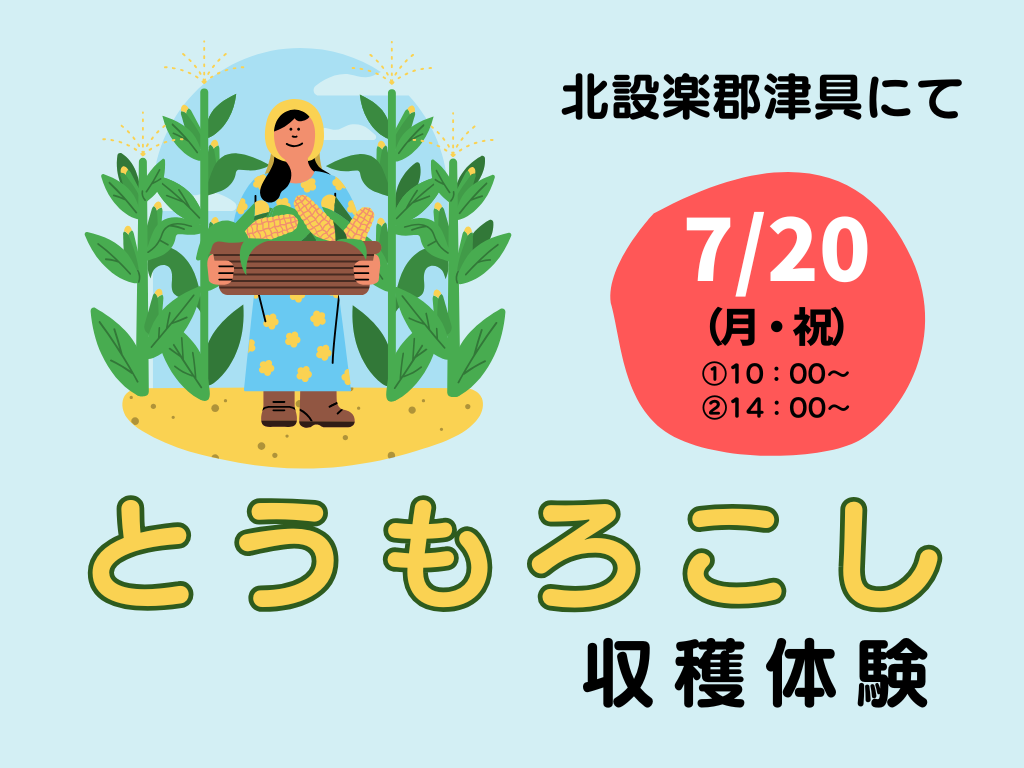 夏休みだ！津具へGO！とうもろこし収穫体験